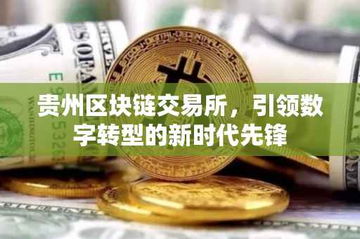 贵州区块链交易所，引领数字转型的新时代先锋