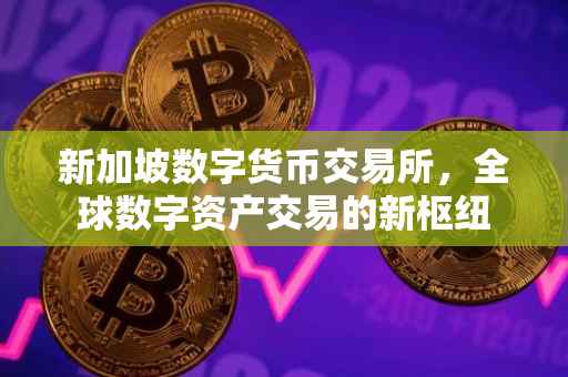 新加坡数字货币交易所，全球数字资产交易的新枢纽