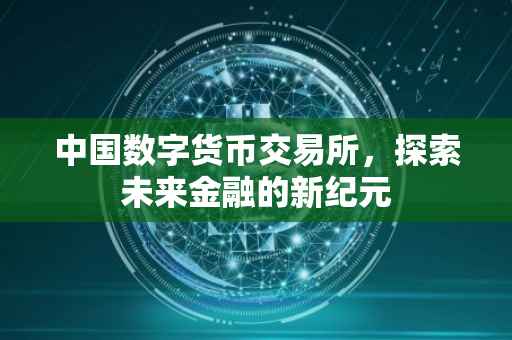 中国数字货币交易所，探索未来金融的新纪元