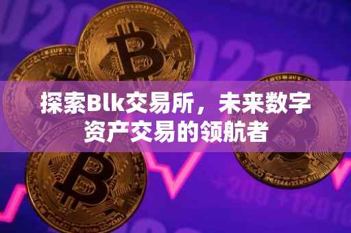 探索Blk交易所，未来数字资产交易的领航者