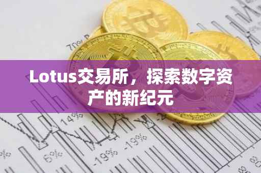 Lotus交易所，探索数字资产的新纪元