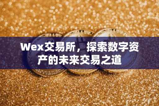 Wex交易所，探索数字资产的未来交易之道