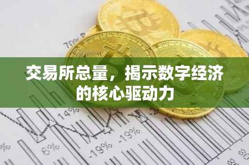 交易所总量，揭示数字经济的核心驱动力
