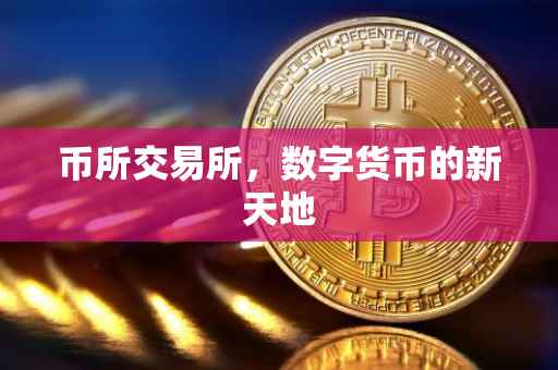币所交易所，数字货币的新天地