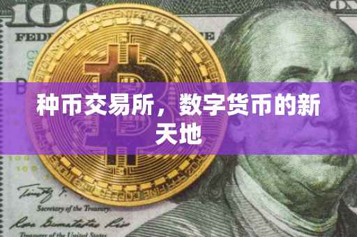 种币交易所，数字货币的新天地