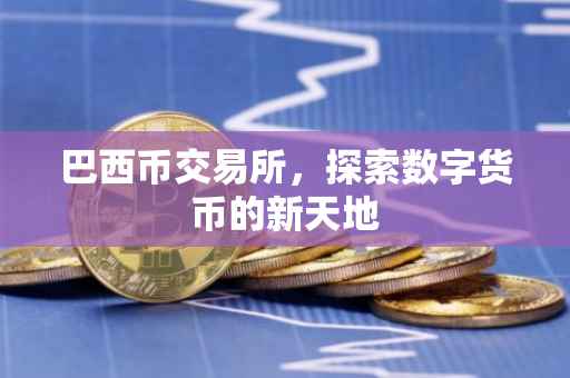 巴西币交易所，探索数字货币的新天地