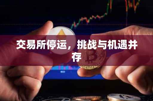 交易所停运，挑战与机遇并存