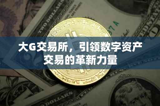 大G交易所，引领数字资产交易的革新力量