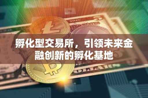 孵化型交易所，引领未来金融创新的孵化基地