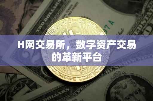 H网交易所，数字资产交易的革新平台