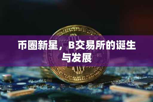 币圈新星，B交易所的诞生与发展