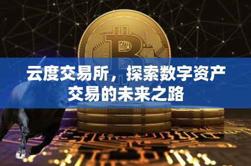 云度交易所，探索数字资产交易的未来之路