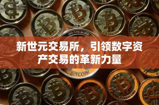 新世元交易所，引领数字资产交易的革新力量