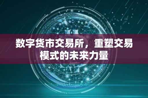 数字货市交易所，重塑交易模式的未来力量