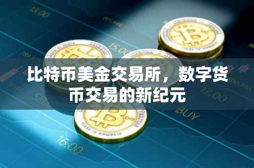 比特币美金交易所，数字货币交易的新纪元