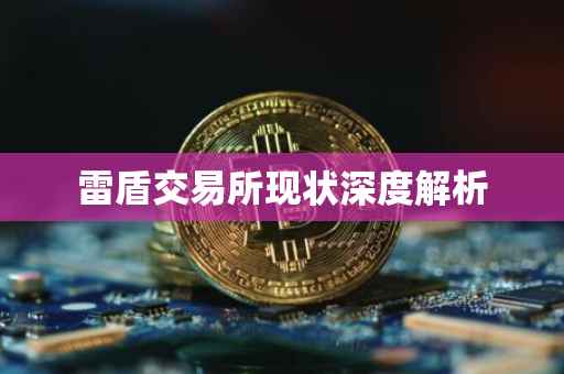 雷盾交易所现状深度解析