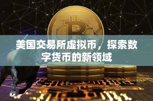 美国交易所虚拟币，探索数字货币的新领域