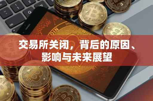 交易所关闭，背后的原因、影响与未来展望