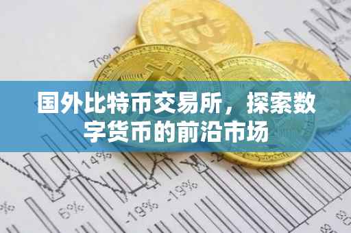 国外比特币交易所，探索数字货币的前沿市场
