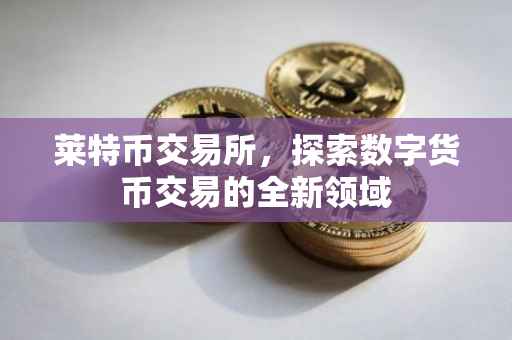 莱特币交易所，探索数字货币交易的全新领域