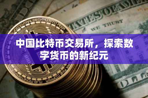 中国比特币交易所，探索数字货币的新纪元