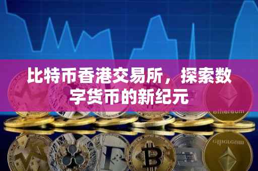 比特币香港交易所，探索数字货币的新纪元