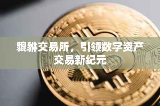 貔貅交易所，引领数字资产交易新纪元