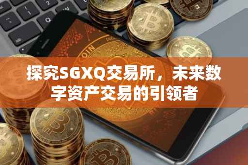 探究SGXQ交易所，未来数字资产交易的引领者