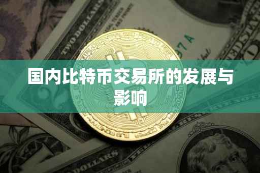 国内比特币交易所的发展与影响