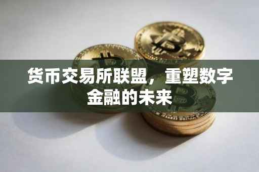 货币交易所联盟，重塑数字金融的未来