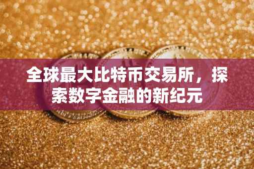 全球最大比特币交易所，探索数字金融的新纪元