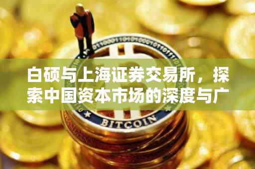 白硕与上海证券交易所，探索中国资本市场的深度与广度