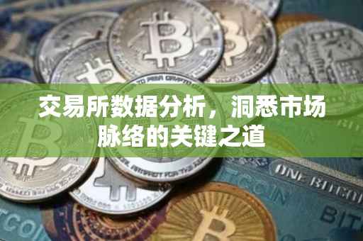 交易所数据分析，洞悉市场脉络的关键之道
