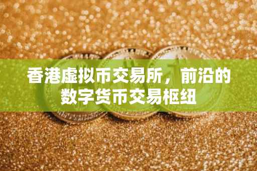 香港虚拟币交易所，前沿的数字货币交易枢纽