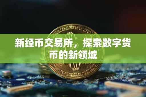 新经币交易所，探索数字货币的新领域