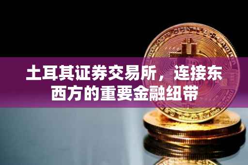 土耳其证券交易所，连接东西方的重要金融纽带