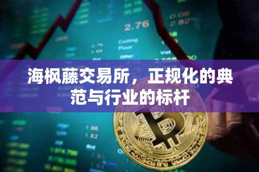 海枫藤交易所，正规化的典范与行业的标杆