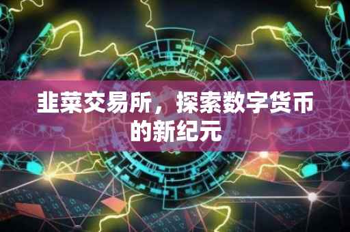 韭菜交易所，探索数字货币的新纪元
