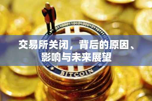 交易所关闭，背后的原因、影响与未来展望