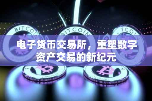 电子货币交易所，重塑数字资产交易的新纪元