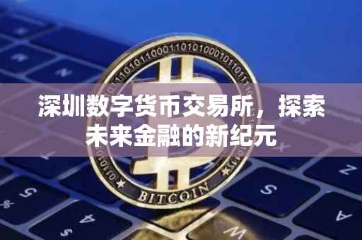 深圳数字货币交易所，探索未来金融的新纪元