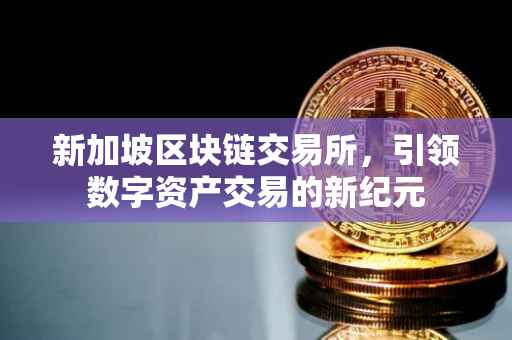 新加坡区块链交易所，引领数字资产交易的新纪元