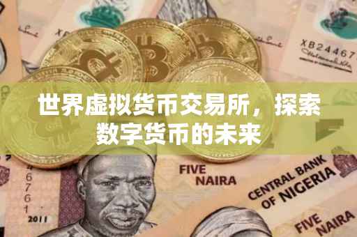 世界虚拟货币交易所，探索数字货币的未来