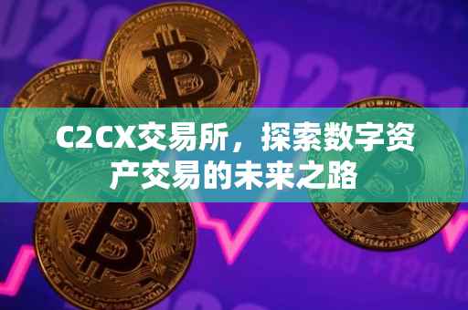 C2CX交易所，探索数字资产交易的未来之路