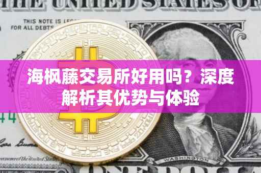 海枫藤交易所好用吗？深度解析其优势与体验