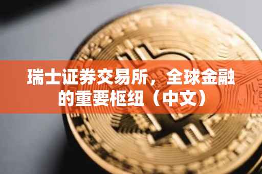 瑞士证券交易所，全球金融的重要枢纽（中文）