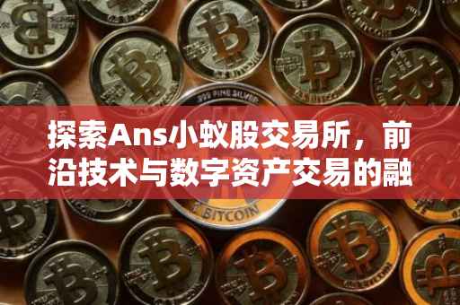 探索Ans小蚁股交易所，前沿技术与数字资产交易的融合