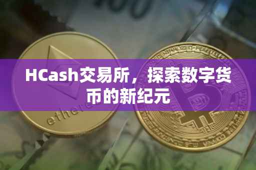 HCash交易所，探索数字货币的新纪元