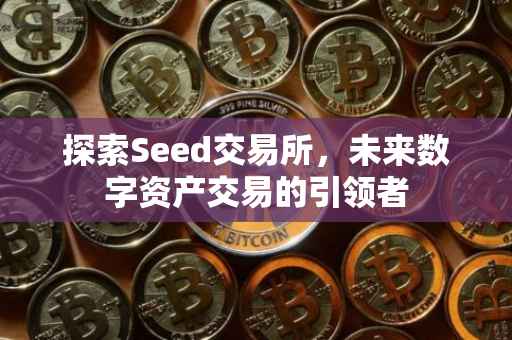 探索Seed交易所，未来数字资产交易的引领者