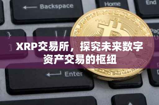 XRP交易所，探究未来数字资产交易的枢纽